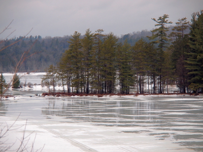 [Most of the ice has melted in this view. A jut of land with evergreens crosses through most of teh image.]